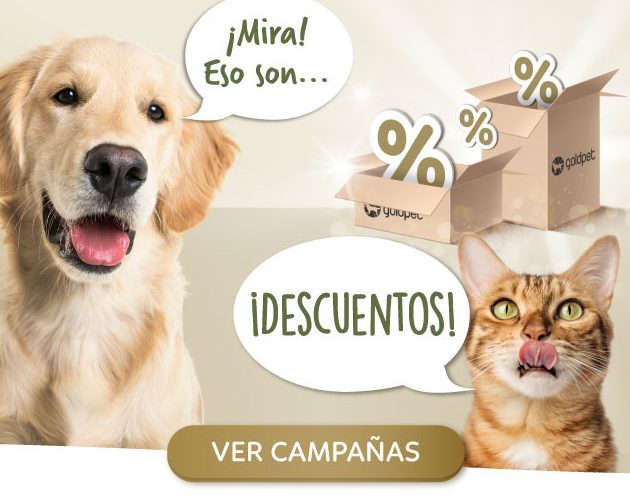 Perros Gatos Veterinaria Pet-Shop 1 perros gatos veterinaria pet shop