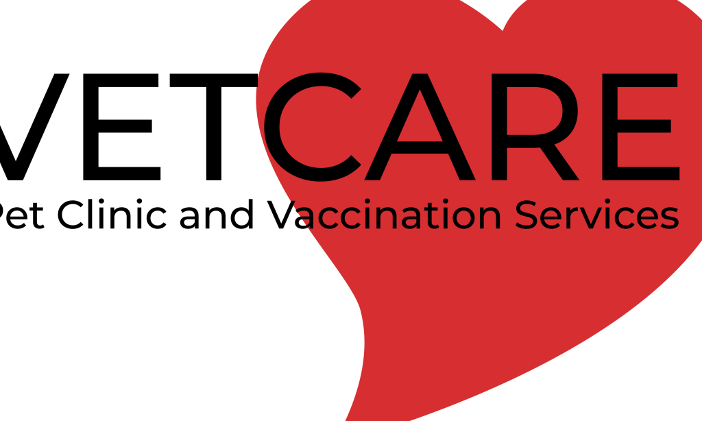 Pet Clinic veterinaria 1 pet clinic veterinaria