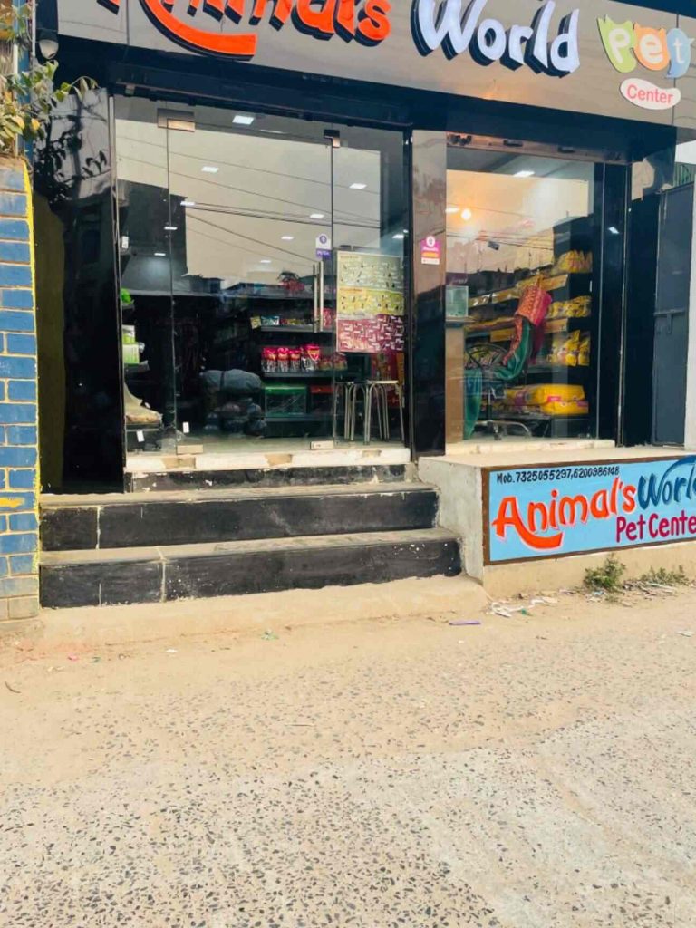 Pet Shop Animal World 1 pet shop animal world