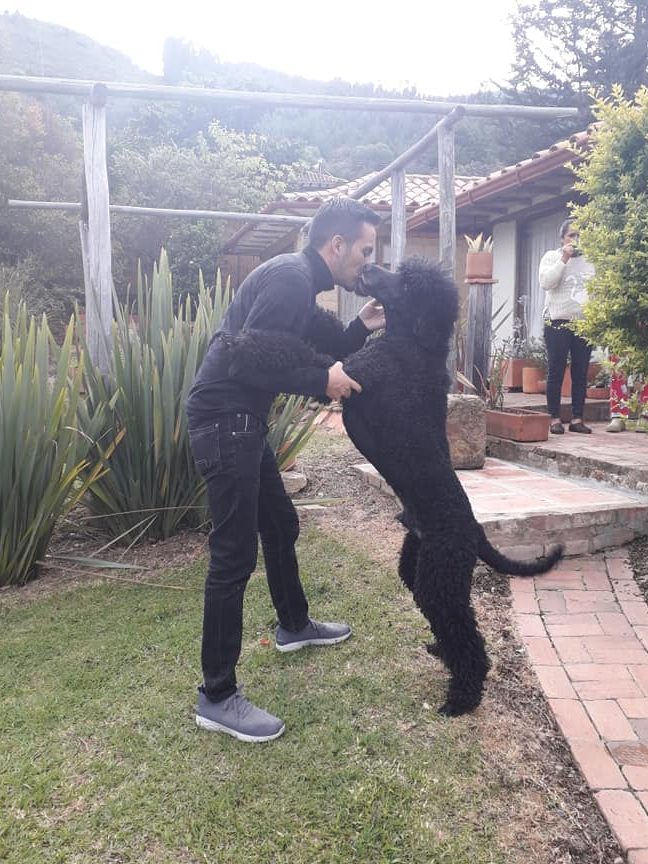 PETCENTER VILLA DE LEYVA 1 petcenter villa de leyva