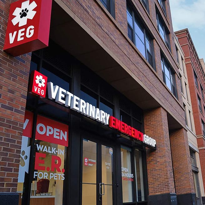 Pet's Doctor 1 pets doctor