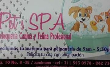 pets spa facatativa