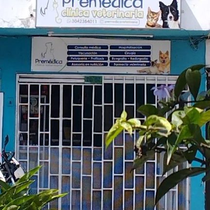 premédica clínica veterinaria 1 premedica clinica veterinaria