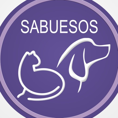 Sabuesos Veterinaria 1 sabuesos veterinaria