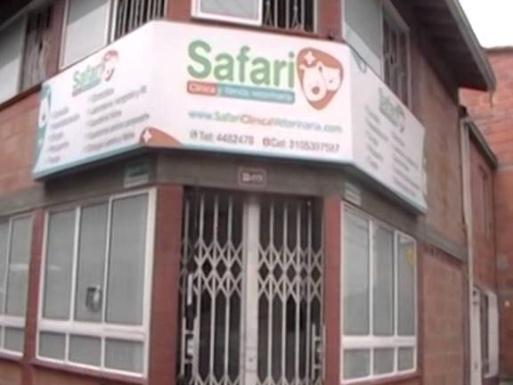 Safari Clinica Veterinaria 1 safari clinica veterinaria