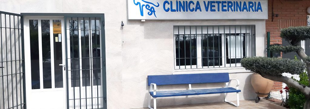 Salud Animal Centro Veterinario 1 salud animal centro veterinario