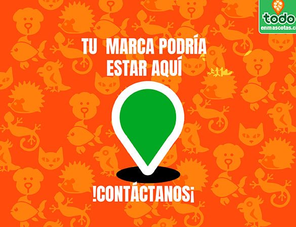 Salvet Centro Veterinario 1 salvet centro veterinario