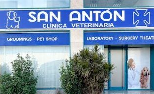 San Antón - Clínica Veterinaria 24 horas en Cali 1 san anton clinica veterinaria 24 horas en cali