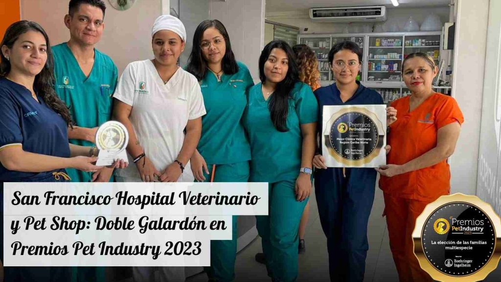 San Francisco Hospital Veterinario 1 san francisco hospital veterinario