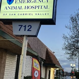 SAN GABRIEL HOSPITAL VETERINARIO 1 san gabriel hospital veterinario