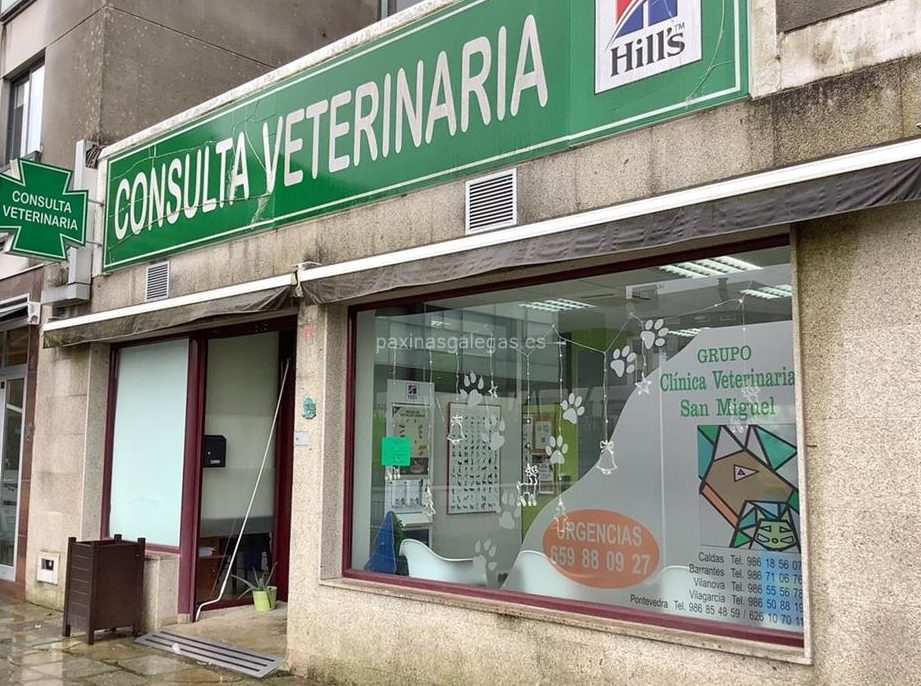 San Miguel Vet Centro Veterinario 1 san miguel vet centro veterinario