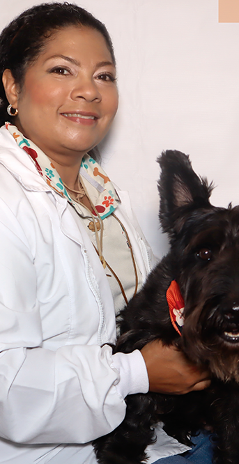 Servicio veterinario a domicilio Dogtora Cat 1 servicio veterinario a domicilio dogtora cat