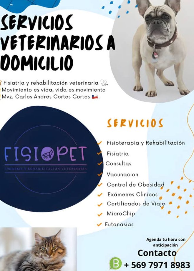 Servicios veterinarios a domicilio 1 servicios veterinarios a domicilio