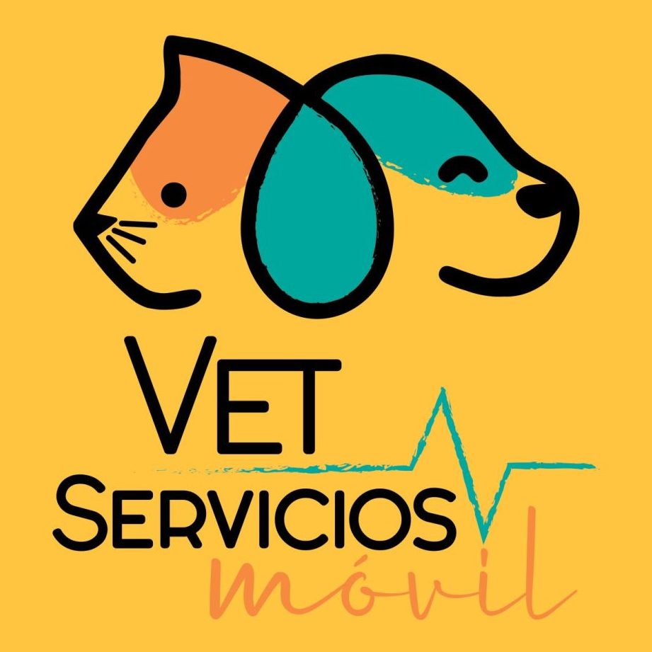Servicios Veterinarios Ser Vet 1 servicios veterinarios ser vet