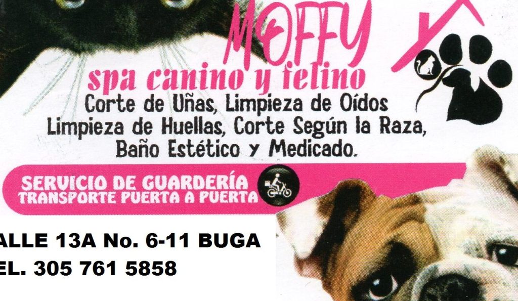 Spa Estetica Y Guarderia Canino Y Felino 1 spa estetica y guarderia canino y felino