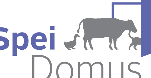 Spei Domus 1 spei domus