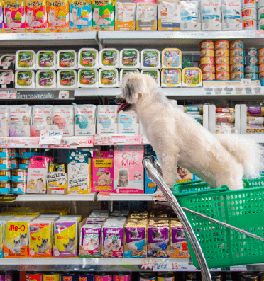 Surtifinca Calarcá tienda de productos para mascotas 1 surtifinca calarca tienda de productos para mascotas