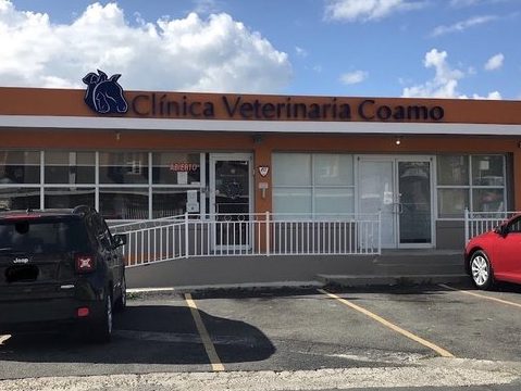 Tambovet clinica veterinaria 1 tambovet clinica veterinaria