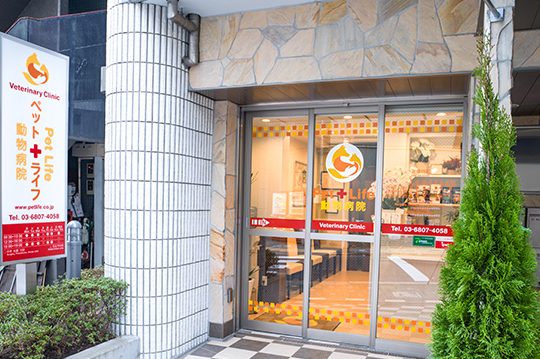 Tokio Vet Clínica Veterinaria 1 tokio vet clinica veterinaria