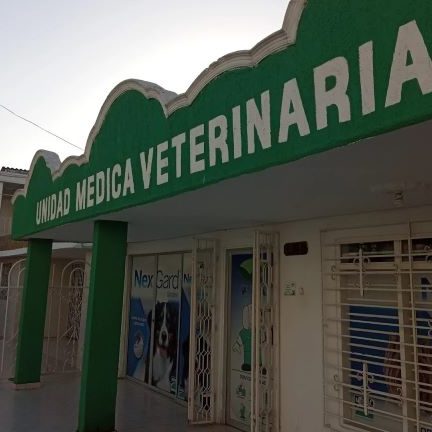 Unidad Médica Veterinaria De La Costa S.A.S 1 unidad medica veterinaria de la costa s a s
