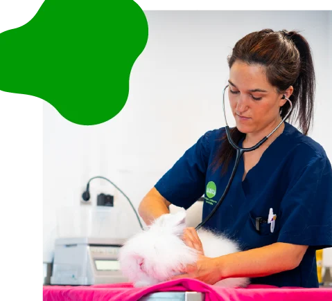 URGENCIA VETERINARIA EL ARCA VALLEDUPAR 1 urgencia veterinaria el arca valledupar