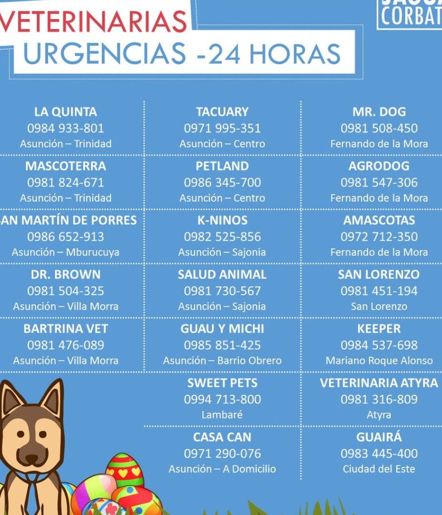 Urgencias Veterinarias 24 Horas 1 urgencias veterinarias 24 horas