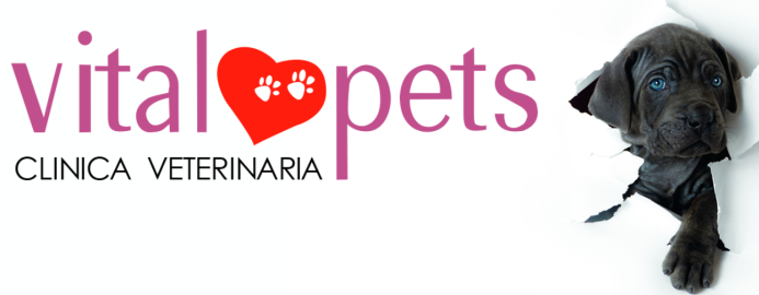 URGENCIAS VETERINARIAS VITALPETS 24 HORAS 1 urgencias veterinarias vitalpets 24 horas