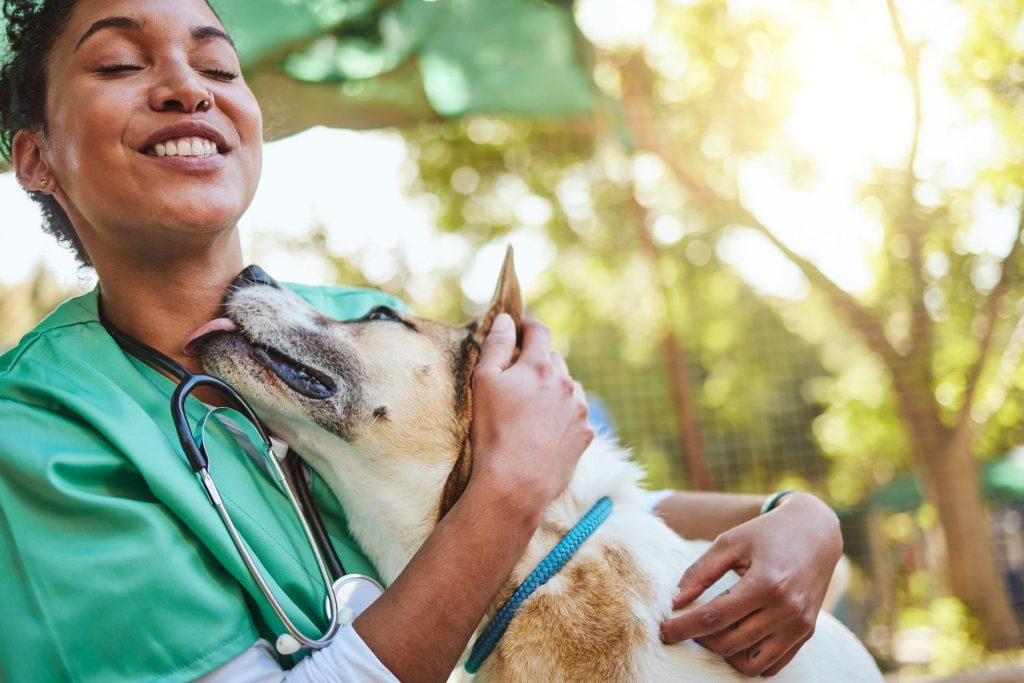 Veterinaria 1 veterinaria