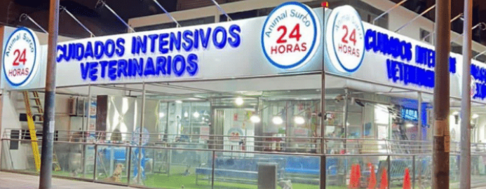Veterinaria 24 horas. 1 veterinaria 24 horas
