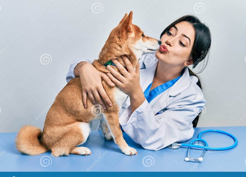 VETERINARIA AMOR MASCOTA 1 veterinaria amor mascota