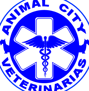 Veterinaria Animal City 1 veterinaria animal city