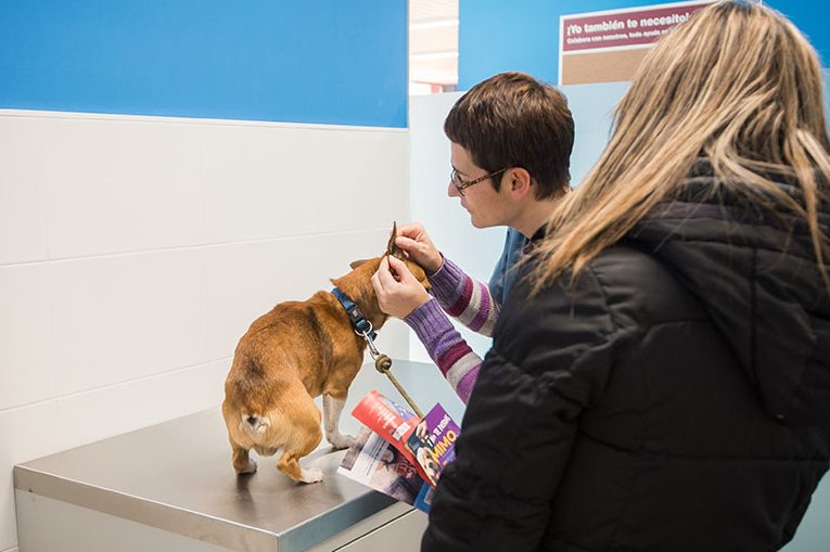 Veterinaria Arka Pamplona 1 veterinaria arka pamplona