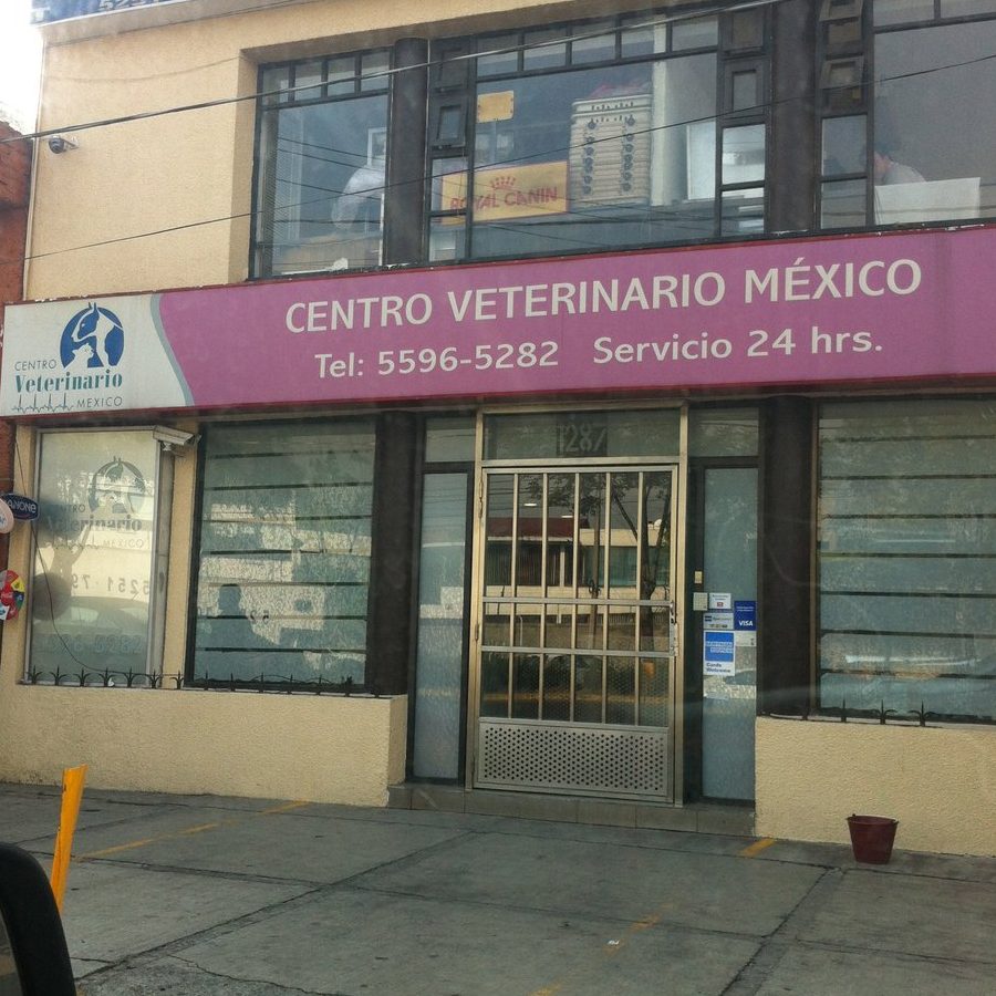 Veterinaria avenida Alfonso L贸pez 1 veterinaria avenida alfonso lopez