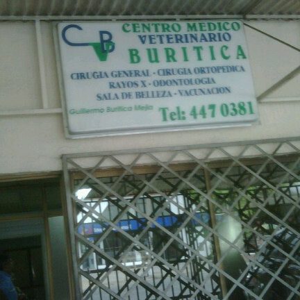 Veterinaria Cali | Centro Médico Veterinario Buritica 1 veterinaria cali centro medico veterinario buritica