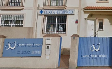 Veterinaria Centro Canino 1 veterinaria centro canino