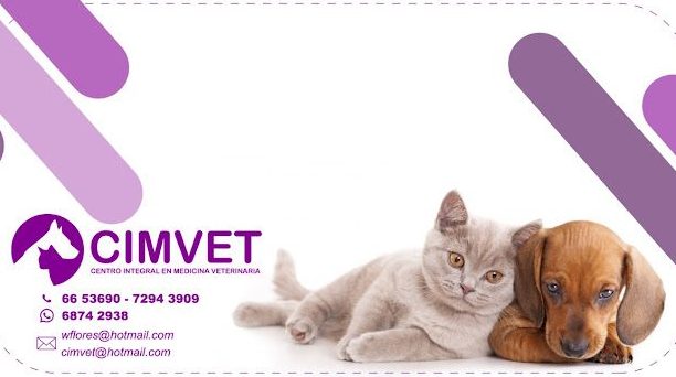 Veterinaria CIMVET 1 veterinaria cimvet