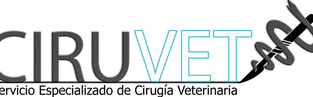 Veterinaria CIRUVET 1 veterinaria ciruvet