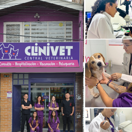 Veterinaria Clinivet 1 veterinaria clinivet