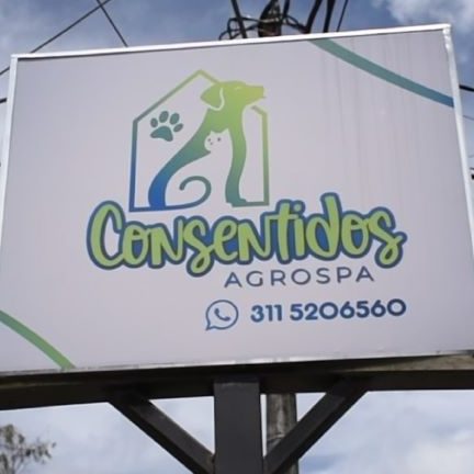 Veterinaria Consentidos Agrospa 1 veterinaria consentidos agrospa