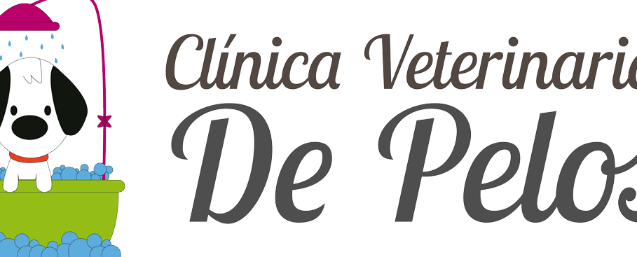 Veterinaria De Pelos.com 1 veterinaria de pelos com