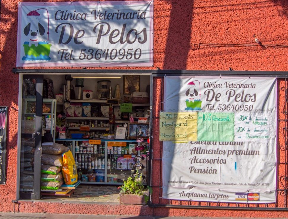 veterinaria de pelos 1 veterinaria de pelos