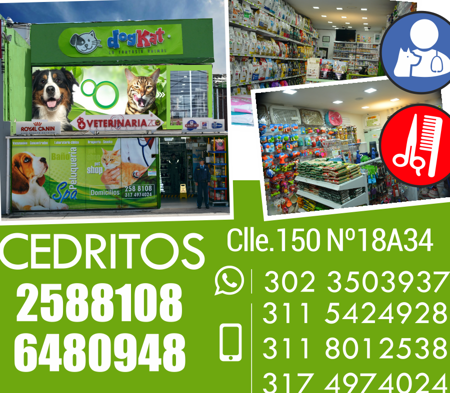 VETERINARIA DOG CAT 1 veterinaria dog cat