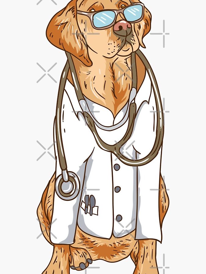 Veterinaria Dogtor Pet's 1 veterinaria dogtor pets