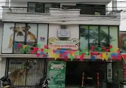 Veterinaria Dosquebradas Perros & Gatos Clínica Veterinaria 1 veterinaria dosquebradas perros gatos clinica veterinaria