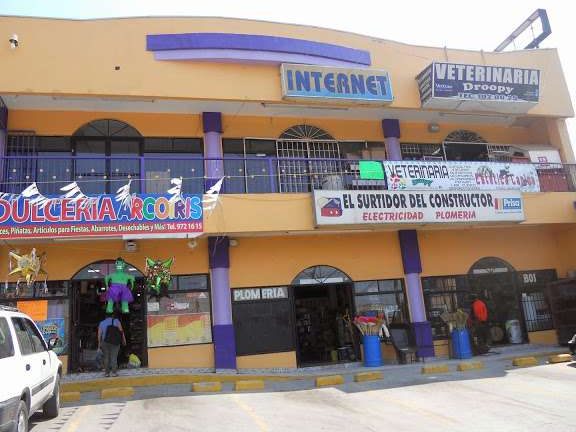 Veterinaria Droopy 1 veterinaria droopy