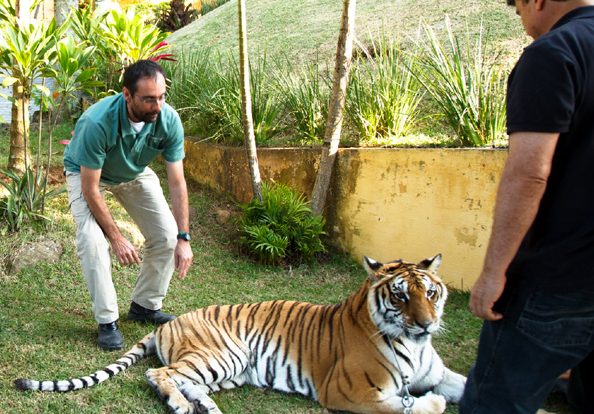 Veterinaria Extrema 1 veterinaria