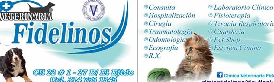 Veterinaria Fidelinos 1 veterinaria fidelinos