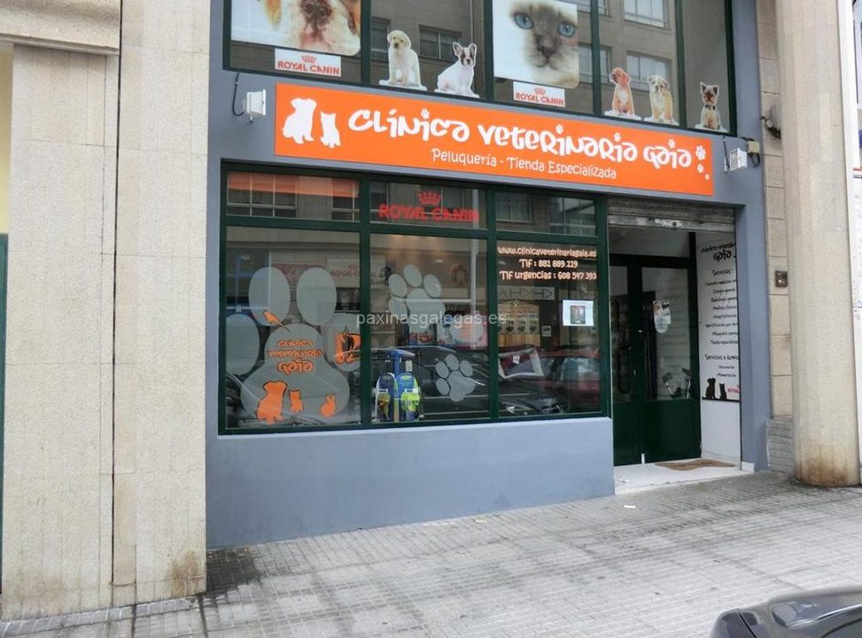 VETERINARIA GAIA 1 veterinaria gaia