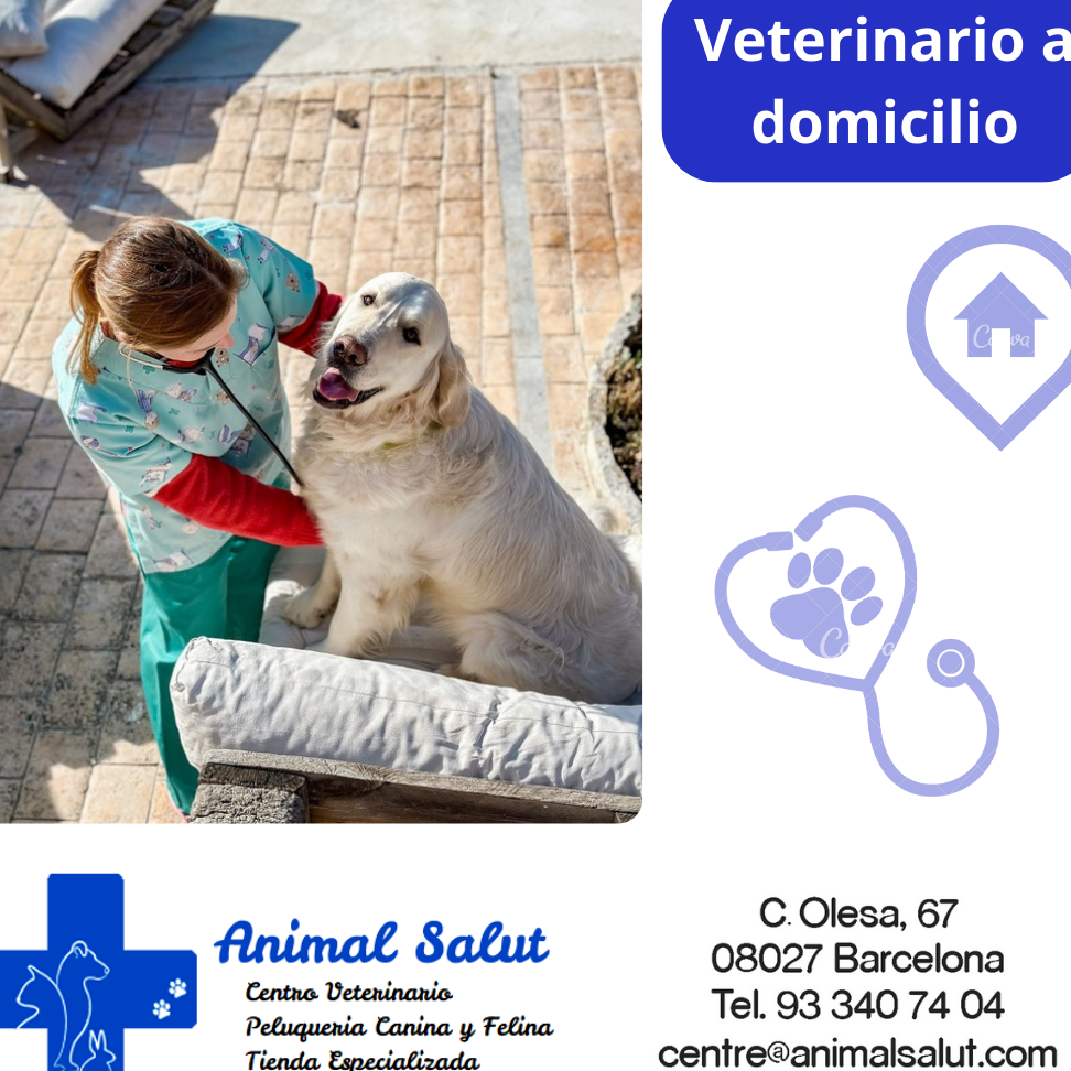 Veterinaria Hogar Animal 1 veterinaria hogar animal