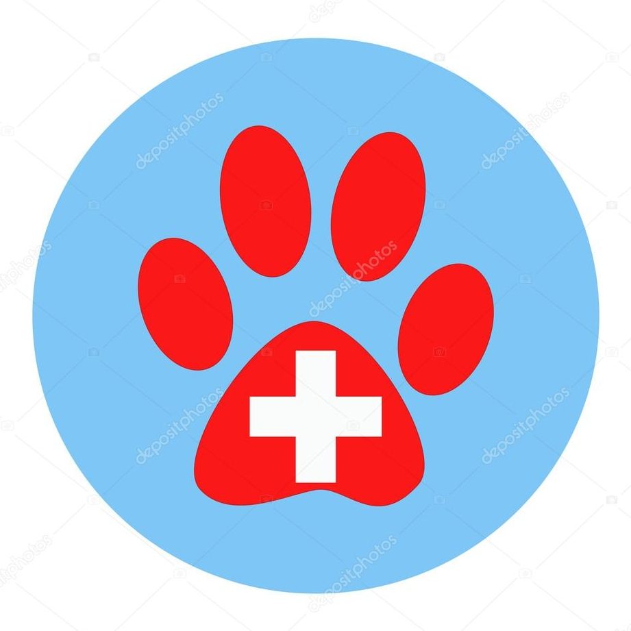 Veterinaria Huellas& Huellas 1 veterinaria huellas huellas